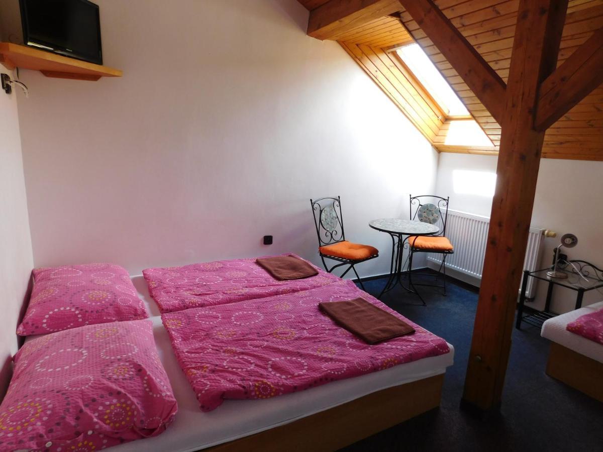 Pension U Mojmira Rokytnice nad Jizerou Extérieur photo