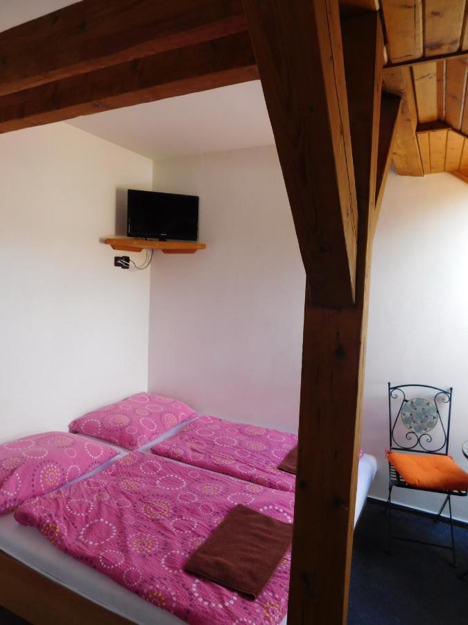 Pension U Mojmira Rokytnice nad Jizerou Extérieur photo