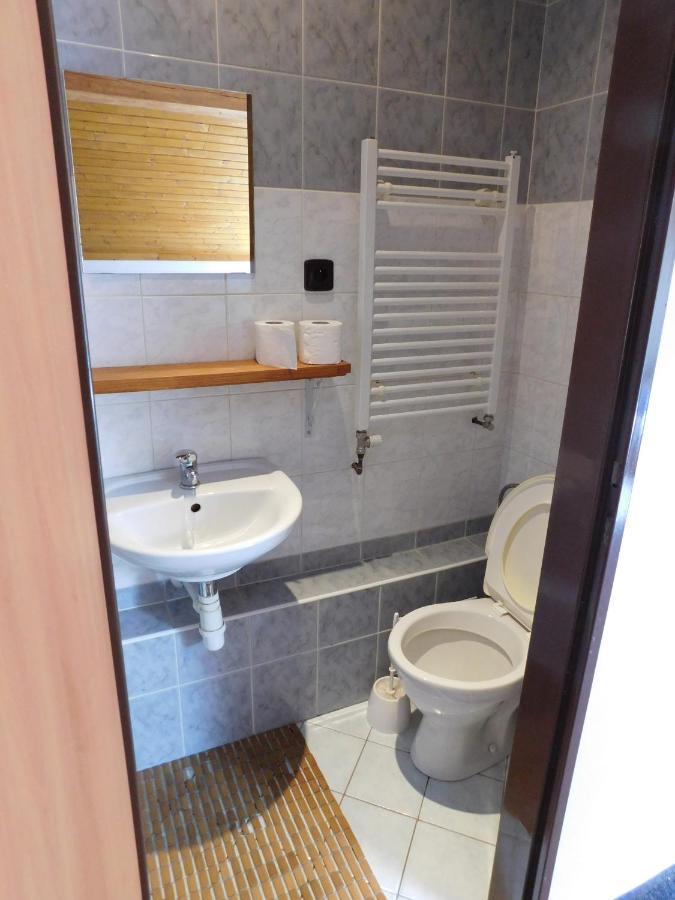 Pension U Mojmira Rokytnice nad Jizerou Extérieur photo